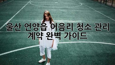 울산 언양읍 어음리 청소 관리 계약: 완벽 가이드