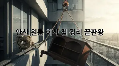 안산 원룸 이사, 짐 정리 끝판왕!